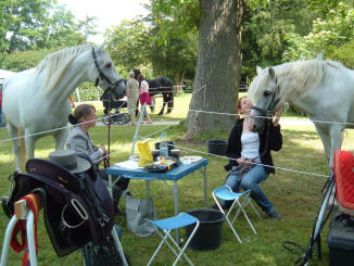 Picnic med drengene